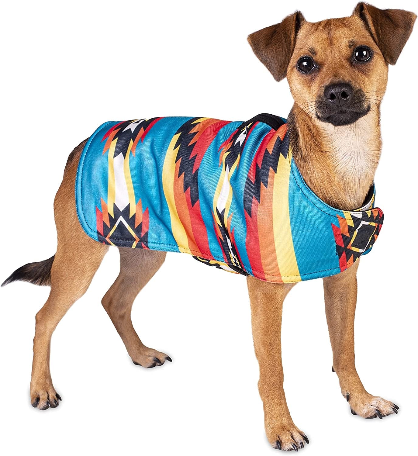 Dog Clothes - Handmade Dog Poncho - Cinco De Mayo Chihuahua Costume from Authentic Mexican Blanket (Blue, XXS) Animals & Pet Supplies > Pet Supplies > Dog Supplies > Dog Apparel Baja Ponchos Southwestern X-Small 