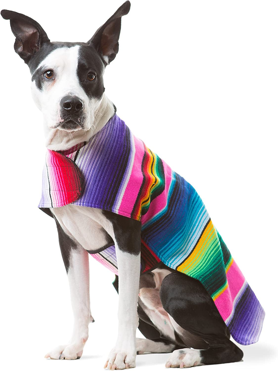 Dog Clothes - Handmade Dog Poncho - Cinco De Mayo Chihuahua Costume from Authentic Mexican Blanket (Blue, XXS) Animals & Pet Supplies > Pet Supplies > Dog Supplies > Dog Apparel Baja Ponchos Pink XX-Large 