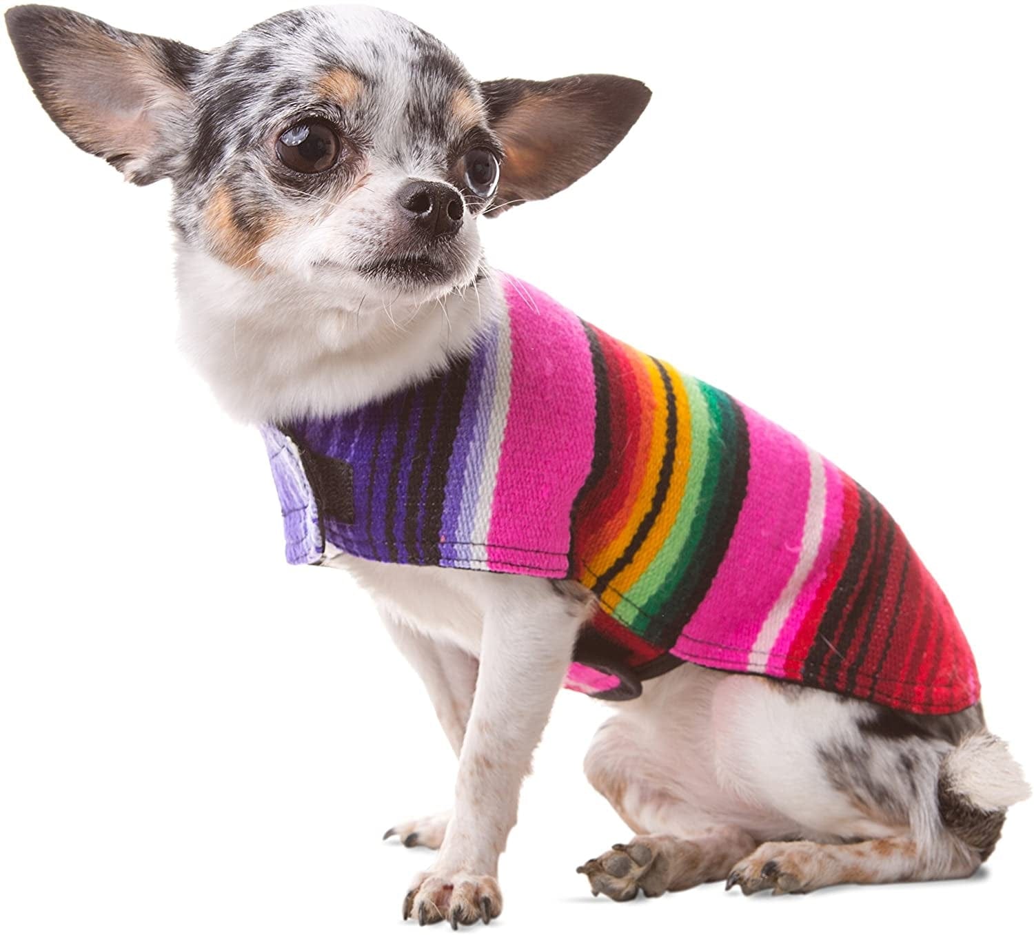 Dog Clothes - Handmade Dog Poncho - Cinco De Mayo Chihuahua Costume from Authentic Mexican Blanket (Blue, XXS) Animals & Pet Supplies > Pet Supplies > Dog Supplies > Dog Apparel Baja Ponchos Pink X-Small 