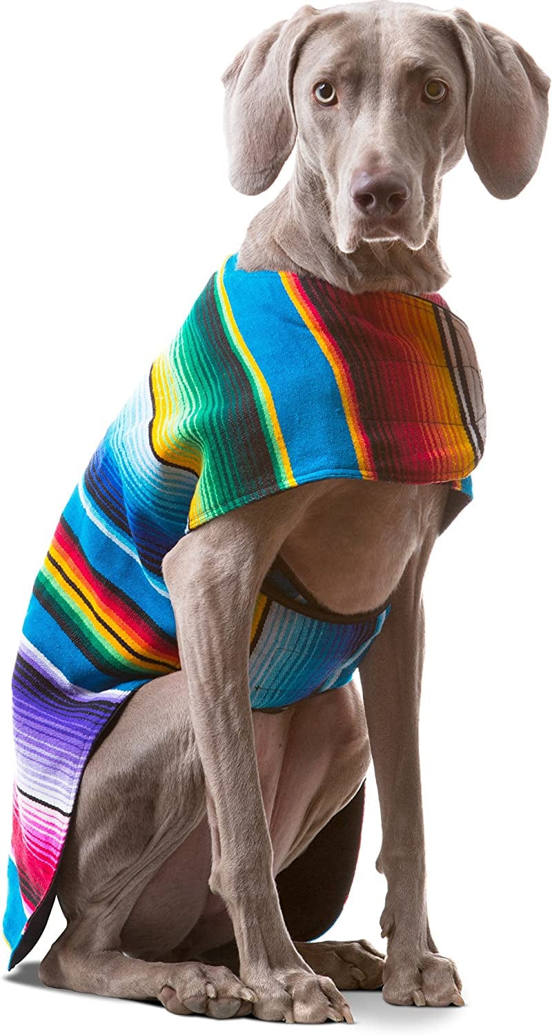Dog Clothes - Handmade Dog Poncho - Cinco De Mayo Chihuahua Costume from Authentic Mexican Blanket (Blue, XXS) Animals & Pet Supplies > Pet Supplies > Dog Supplies > Dog Apparel Baja Ponchos Blue XX-Large 