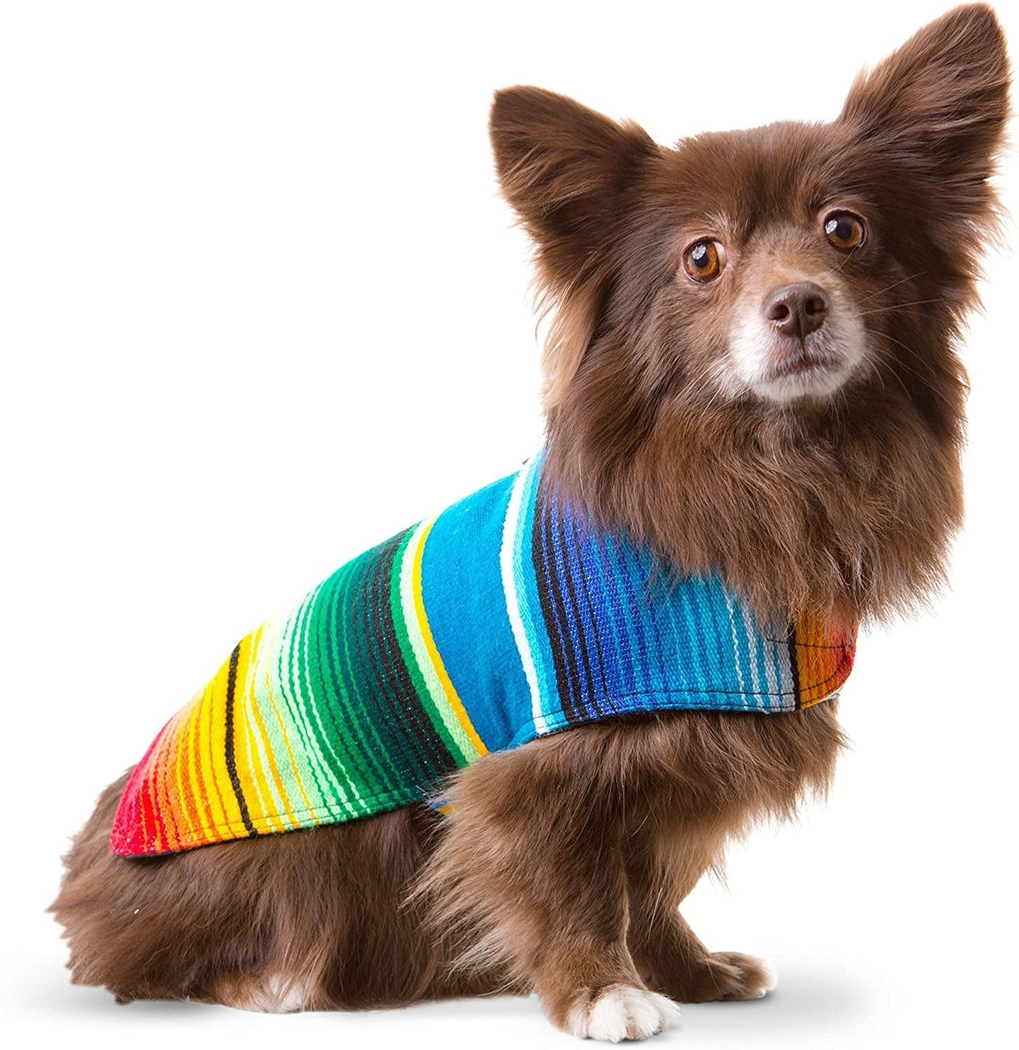 Dog Clothes - Handmade Dog Poncho - Cinco De Mayo Chihuahua Costume from Authentic Mexican Blanket (Blue, XXS) Animals & Pet Supplies > Pet Supplies > Dog Supplies > Dog Apparel Baja Ponchos Blue Small 