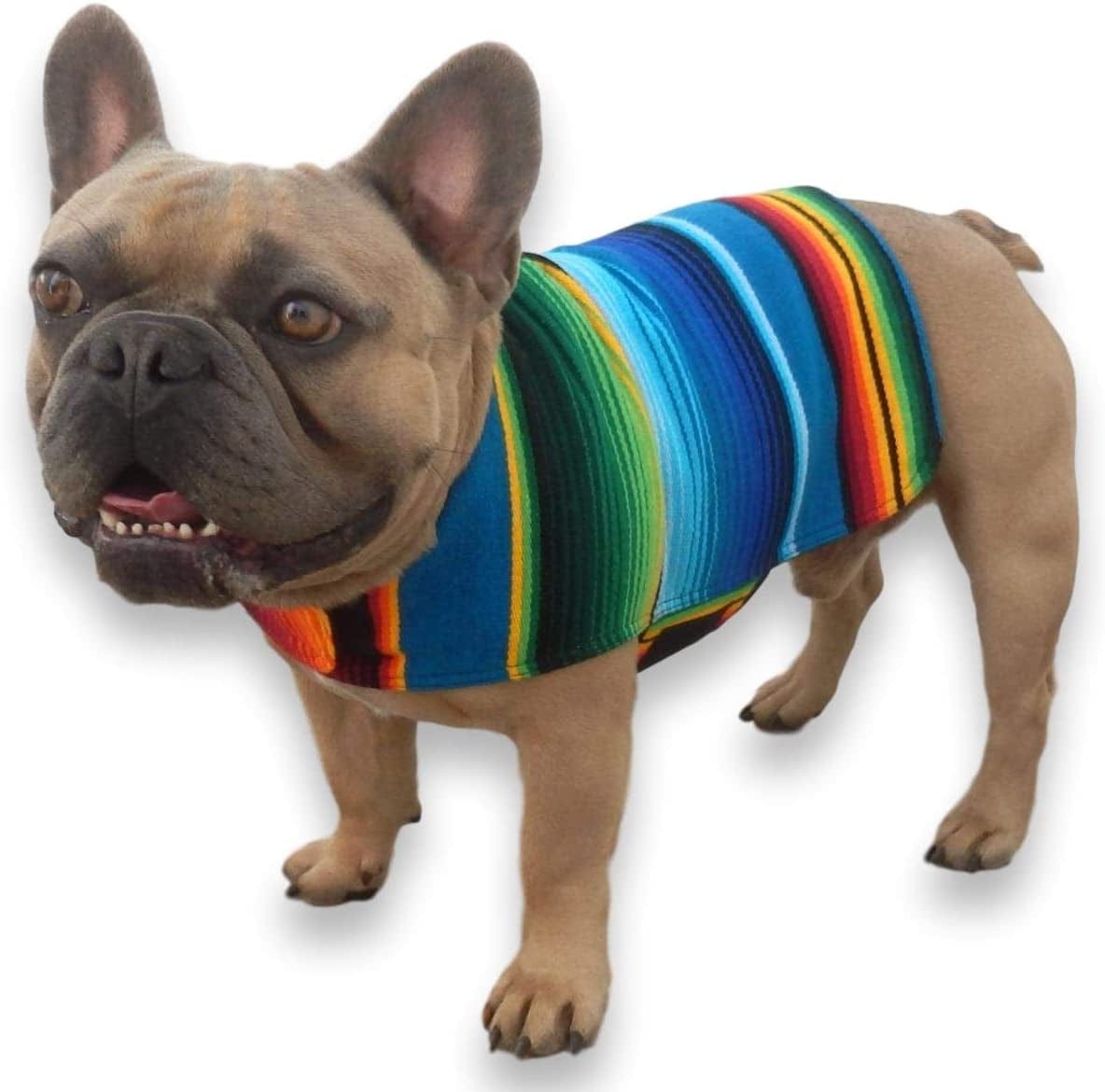 Dog Clothes - Handmade Dog Poncho - Cinco De Mayo Chihuahua Costume from Authentic Mexican Blanket (Blue, XXS) Animals & Pet Supplies > Pet Supplies > Dog Supplies > Dog Apparel Baja Ponchos Blue French Bulldog / Pug 