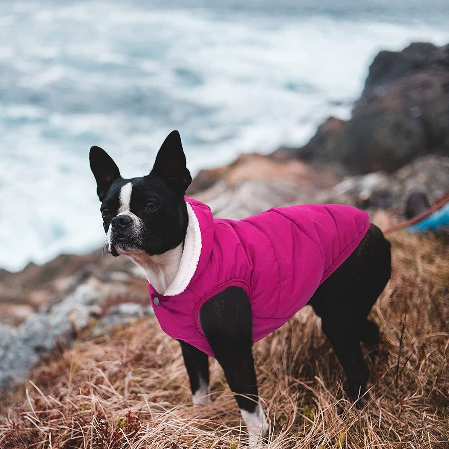 Dog Fleece Hoodie, Windproof Waterproof Dog Coat Fleece & Cotton Lined Warm Dog Jacket, Cold Weather Pet Apparel Clothes Vest for Small Medium Large Dog (M: Length 12.6", Chest 15"-17.3", Pink) Animals & Pet Supplies > Pet Supplies > Dog Supplies > Dog Apparel SAWMONG   