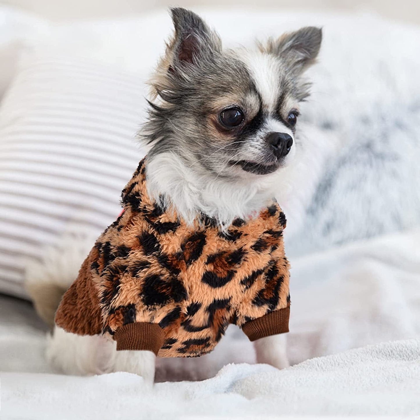 Chihuahua fleece clearance sweater