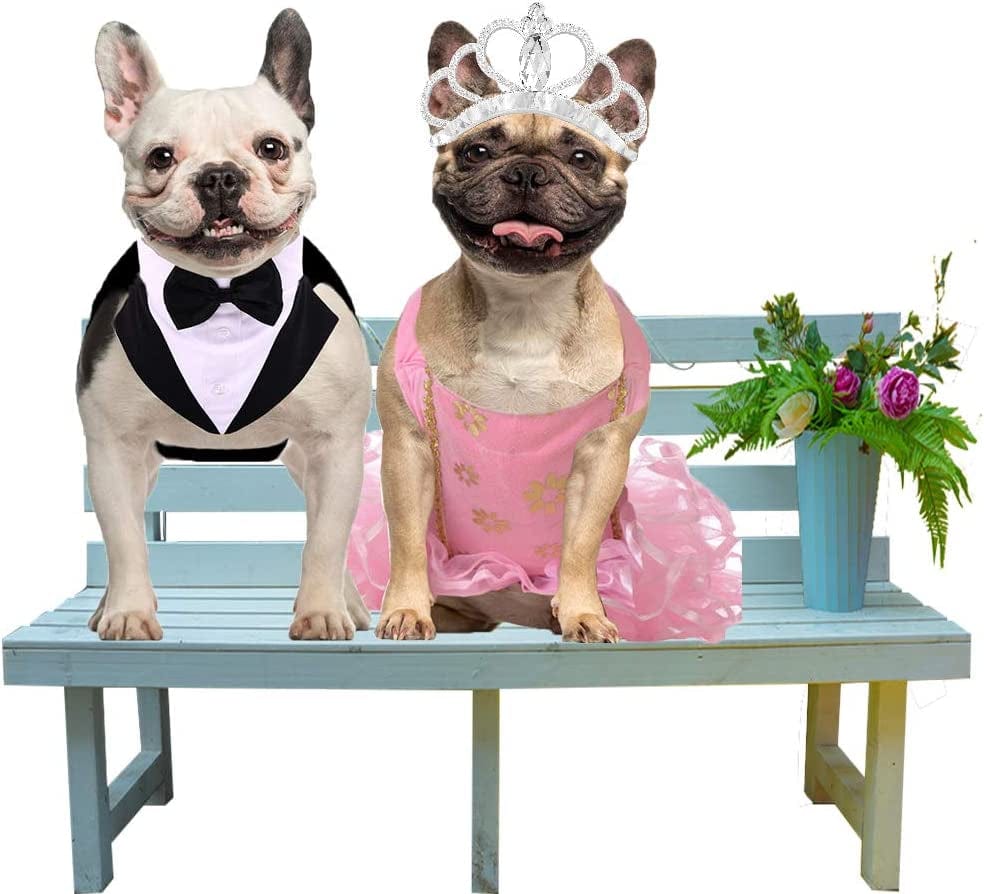 French Bulldog Wedding Dresses