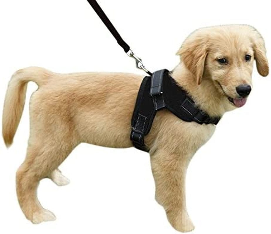 Dog Harness with Handle and Leash Set Pet Training Walking Supplies No-Pull Pet Vest to Prevent Tugging Pulling Choking, Black Animals & Pet Supplies > Pet Supplies > Dog Supplies > Dog Apparel MioCloth   