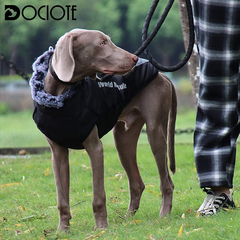 Dog Jacket with Harness & Furry Collar - Winter Coat for Dogs Extra Warm Waterproof Windproof Pet Jacket for Hiking Camping with Reflective Cold Weather Dog Coats for Large Dogs to Medium Dogs Animals & Pet Supplies > Pet Supplies > Dog Supplies > Dog Apparel Dociote   