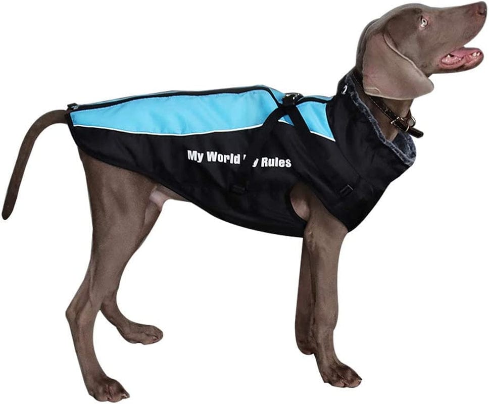 Dog Jacket with Harness & Furry Collar - Winter Coat for Dogs Extra Warm Waterproof Windproof Pet Jacket for Hiking Camping with Reflective Cold Weather Dog Coats for Large Dogs to Medium Dogs Animals & Pet Supplies > Pet Supplies > Dog Supplies > Dog Apparel Dociote Blue 6XL(Chest 32.5" Length 28") 