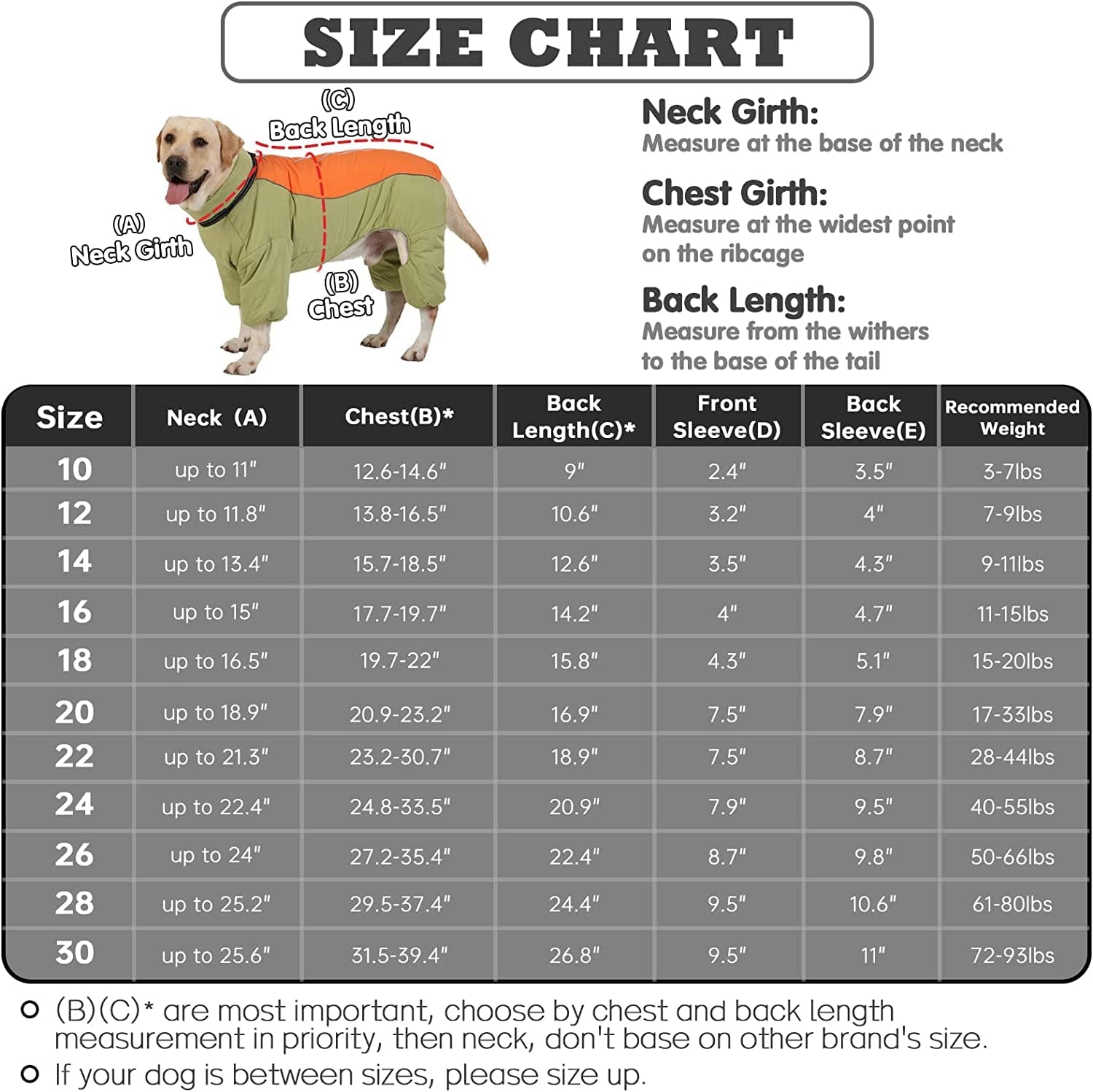 Dog Long Sleeves Coat Windproof Warm Fleece Jacket with Leash Ring Zip up Winter Outdoor Unisex Snowsuit for Small Medium Large Dogs, Lightgreen,20 Animals & Pet Supplies > Pet Supplies > Dog Supplies > Dog Apparel MBKET   