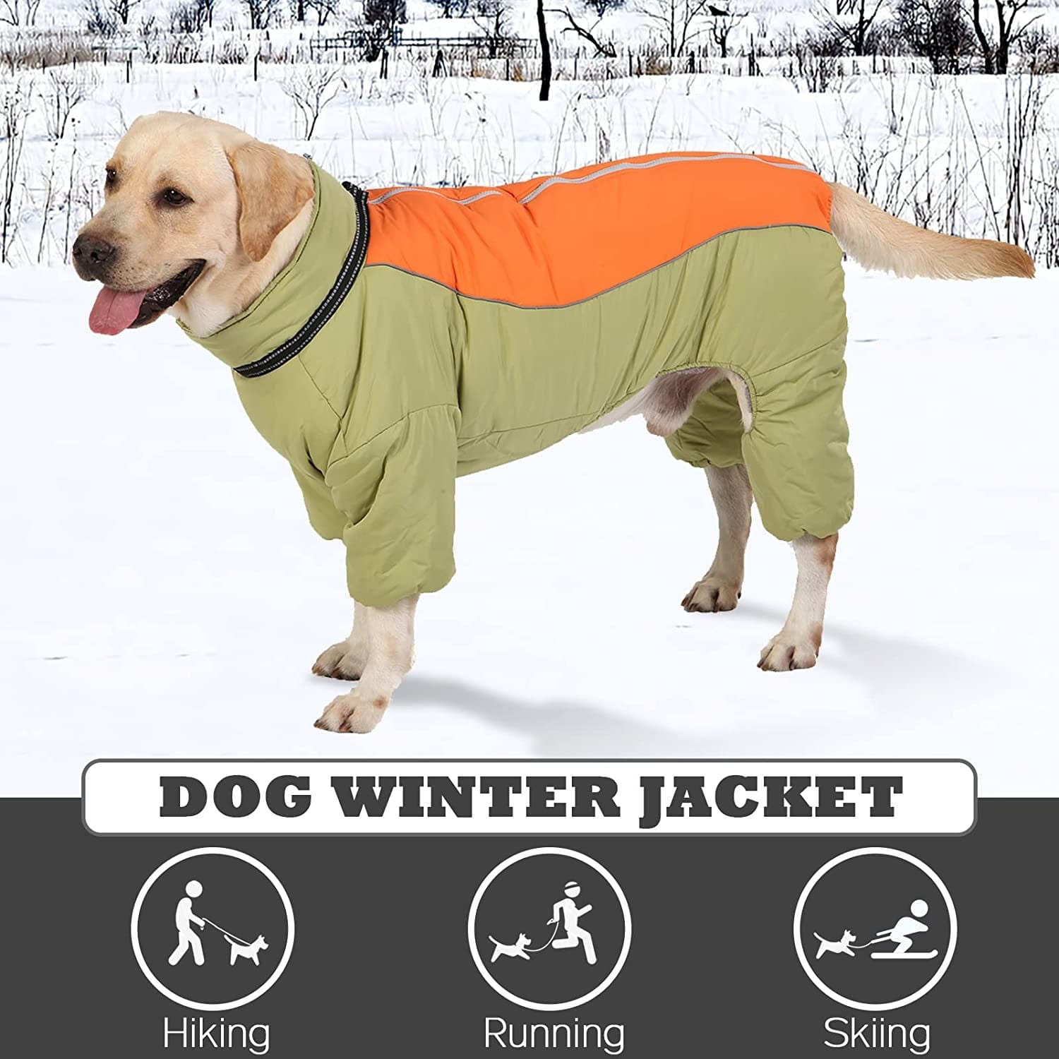 Dog Long Sleeves Coat Windproof Warm Fleece Jacket with Leash Ring Zip up Winter Outdoor Unisex Snowsuit for Small Medium Large Dogs, Lightgreen,20 Animals & Pet Supplies > Pet Supplies > Dog Supplies > Dog Apparel MBKET   