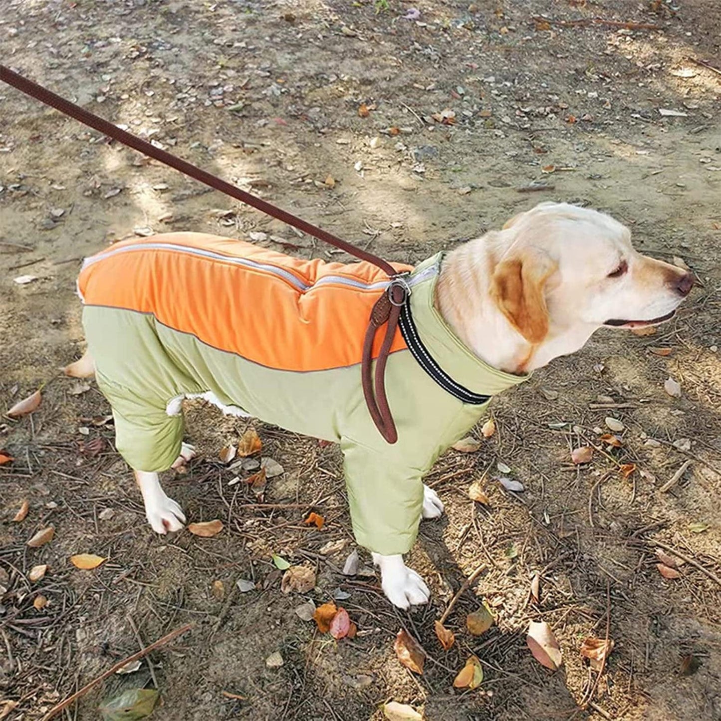 Dog Long Sleeves Coat Windproof Warm Fleece Jacket with Leash Ring Zip up Winter Outdoor Unisex Snowsuit for Small Medium Large Dogs, Lightgreen,20 Animals & Pet Supplies > Pet Supplies > Dog Supplies > Dog Apparel MBKET   