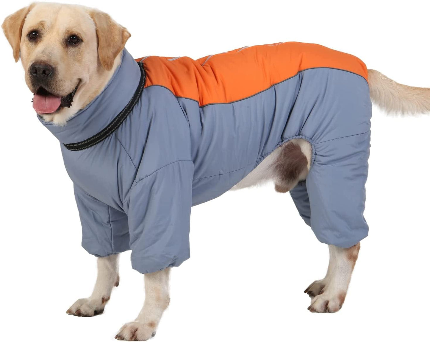 Dog Long Sleeves Coat Windproof Warm Fleece Jacket with Leash Ring Zip up Winter Outdoor Unisex Snowsuit for Small Medium Large Dogs, Lightgreen,20 Animals & Pet Supplies > Pet Supplies > Dog Supplies > Dog Apparel MBKET Airy Blue 20 