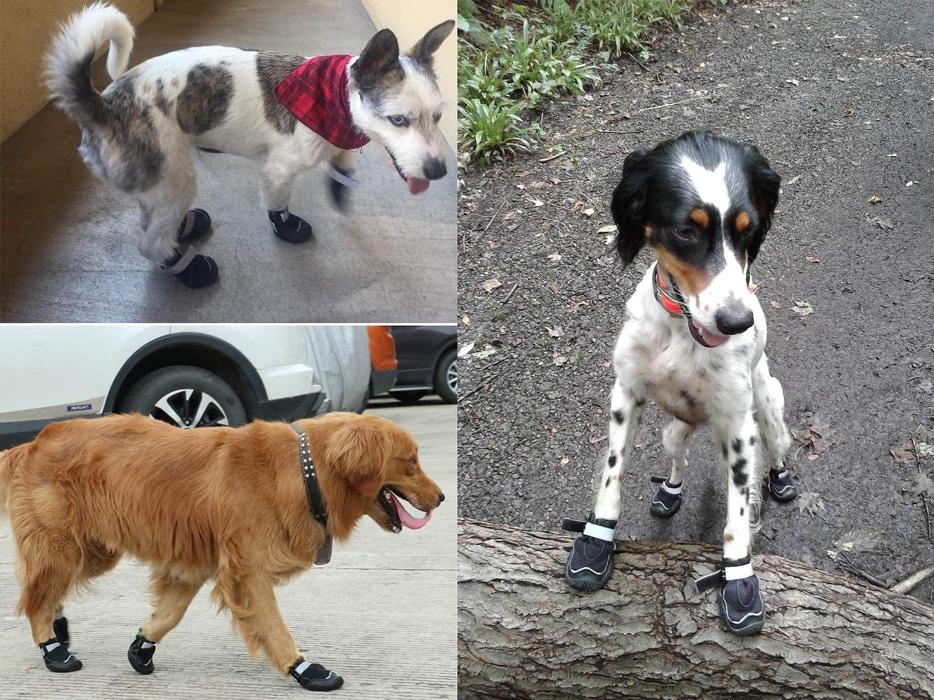 Dog Outdoor Shoes Breathable Running Shoes with Reflective Strap and Anti-Slip Sole for Pet Boots (5#) Animals & Pet Supplies > Pet Supplies > Dog Supplies > Dog Apparel Sunnyy   