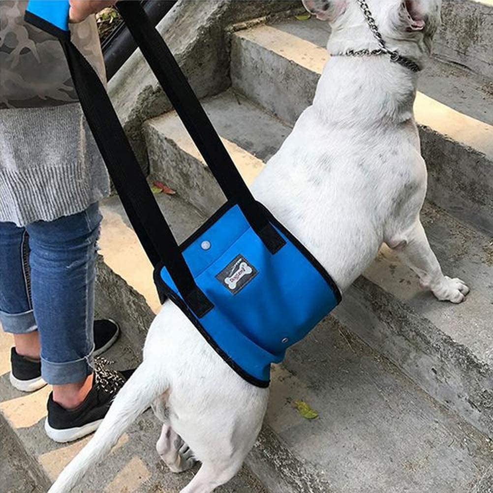 Dog Outdoor Supplies- Dog Aid Lift Support Harness with Handle Sling Assist Mobility Vest Leash Helping Aging Disabled Injured Weak Hind Legs- Blue (XL) Animals & Pet Supplies > Pet Supplies > Dog Supplies > Dog Apparel HERMJ   