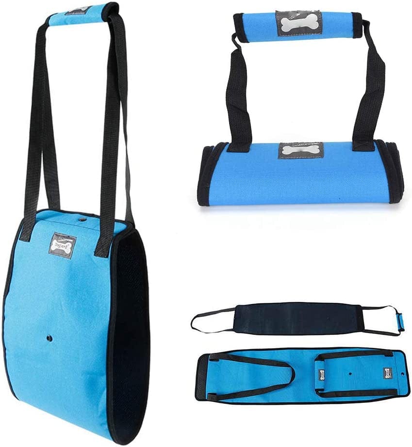 Dog Outdoor Supplies- Dog Aid Lift Support Harness with Handle Sling Assist Mobility Vest Leash Helping Aging Disabled Injured Weak Hind Legs- Blue (XL) Animals & Pet Supplies > Pet Supplies > Dog Supplies > Dog Apparel HERMJ   