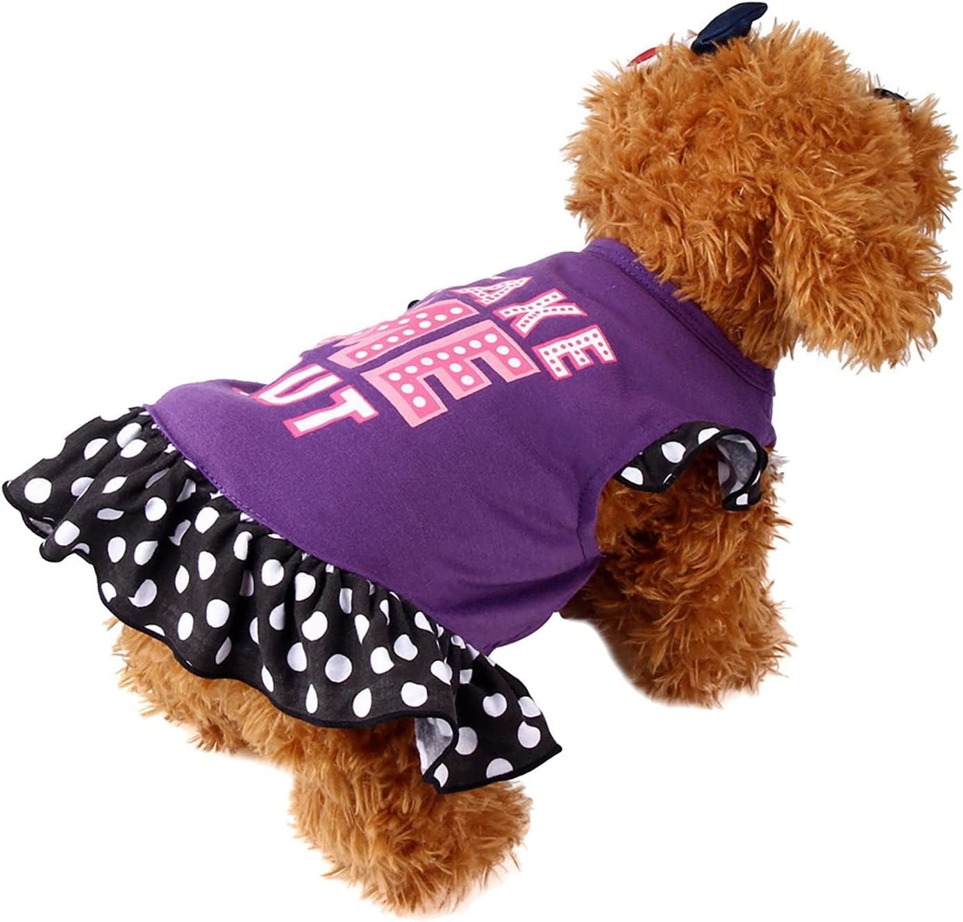 Dog Plush Vest Skirt Cotton Black Puppy Coat Dog Outfits for Teacup Yorkie Boys Girls Sleeveless Beach Dress (X-Small, Black) Animals & Pet Supplies > Pet Supplies > Dog Supplies > Dog Apparel HonpraD   