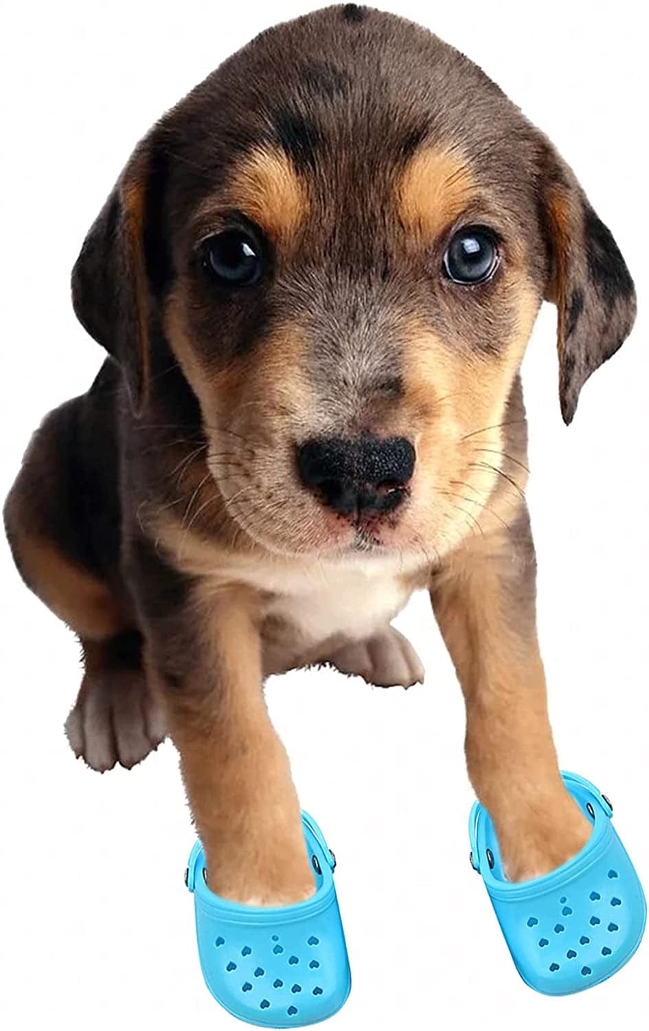 Dog Sandals, 8 Colors Optional, Puppy Shoes Crocs, Pet Sandals for Small Dogs, Pet Lovely Shoes for Taking Photos, Cat Shoes for Summer Blue Animals & Pet Supplies > Pet Supplies > Dog Supplies > Dog Apparel GabeFish   