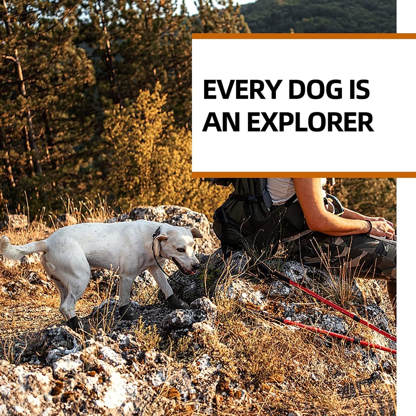 Dog Shoes for Hot Pavement, Reflective Waterproof Dog Boots, Paw Protectors for Medium Large Dogs Booties, Outdoor Dog Boots for Hiking and Running 4PCS Animals & Pet Supplies > Pet Supplies > Dog Supplies > Dog Apparel AOKOWN   