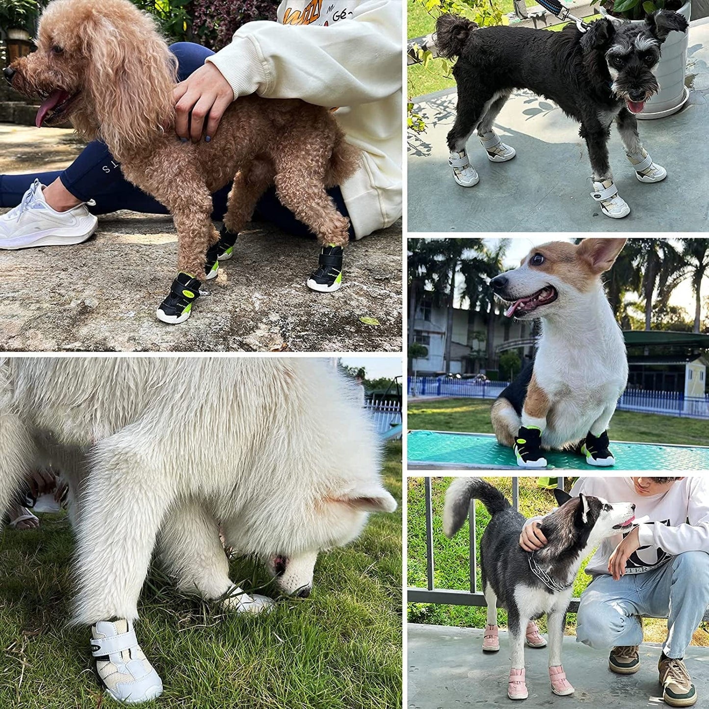 Dog Shoes for Small Medium Large Dogs Boots for Winter Snow Hot Pavement, Breathable Dog Sneakers, Dog Booties Paw Protectors for Hiking and Running with Reflective Strip Anti-Slip Sole 4Pcs Animals & Pet Supplies > Pet Supplies > Dog Supplies > Dog Apparel AOKOWN   