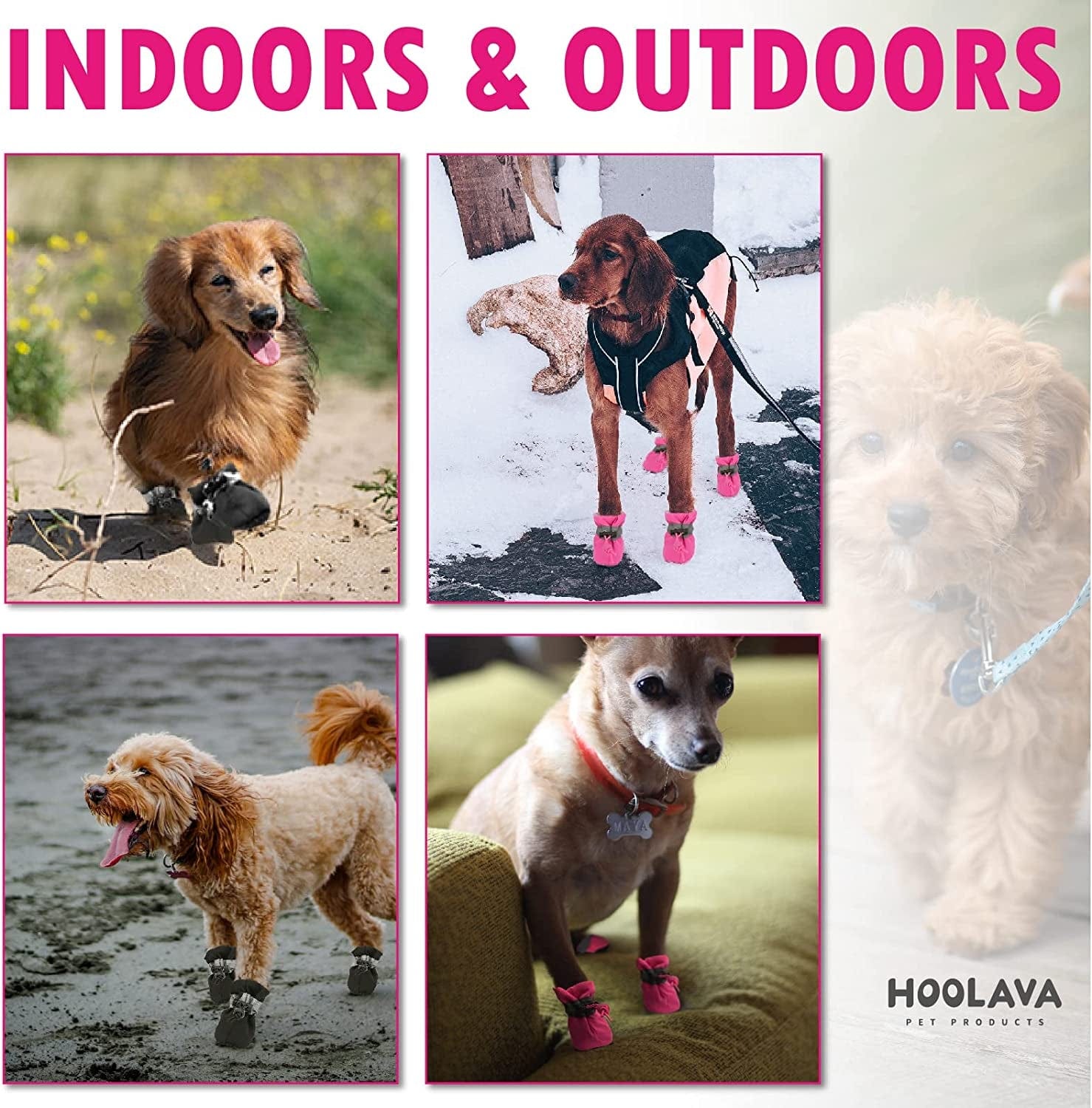 Dog Shoes for Winter, Dog Booties with Reflective Straps for Hot Pavement, Anti-Slip Dog Boots and Paw Protector for Small Medium Dogs 4PCS Animals & Pet Supplies > Pet Supplies > Dog Supplies > Dog Apparel HOOLAVA   