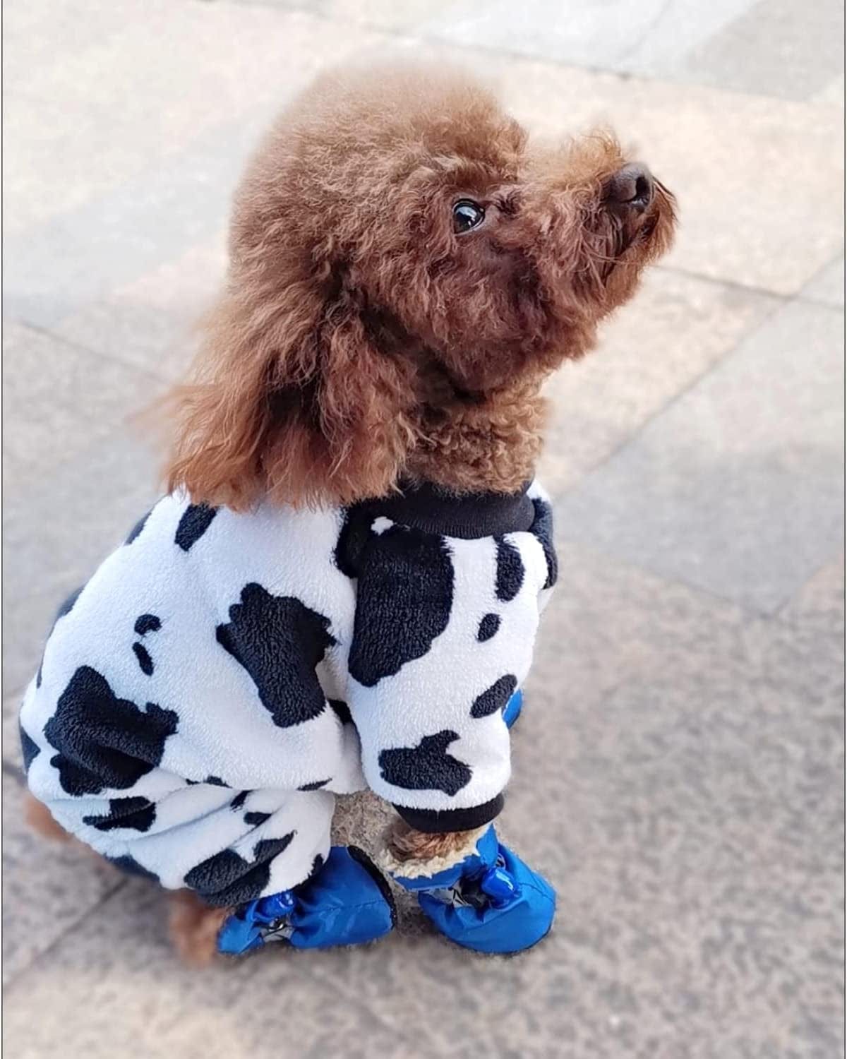 Dog Shoes Paw Protector - 4 Pcs Dogs Boots with Reflective Straps Anti-Slip Rubber Pet Booties Waterproof Winter Snow for Small Medium Size Dogs (Blue 3) Animals & Pet Supplies > Pet Supplies > Dog Supplies > Dog Apparel VITSOLE   