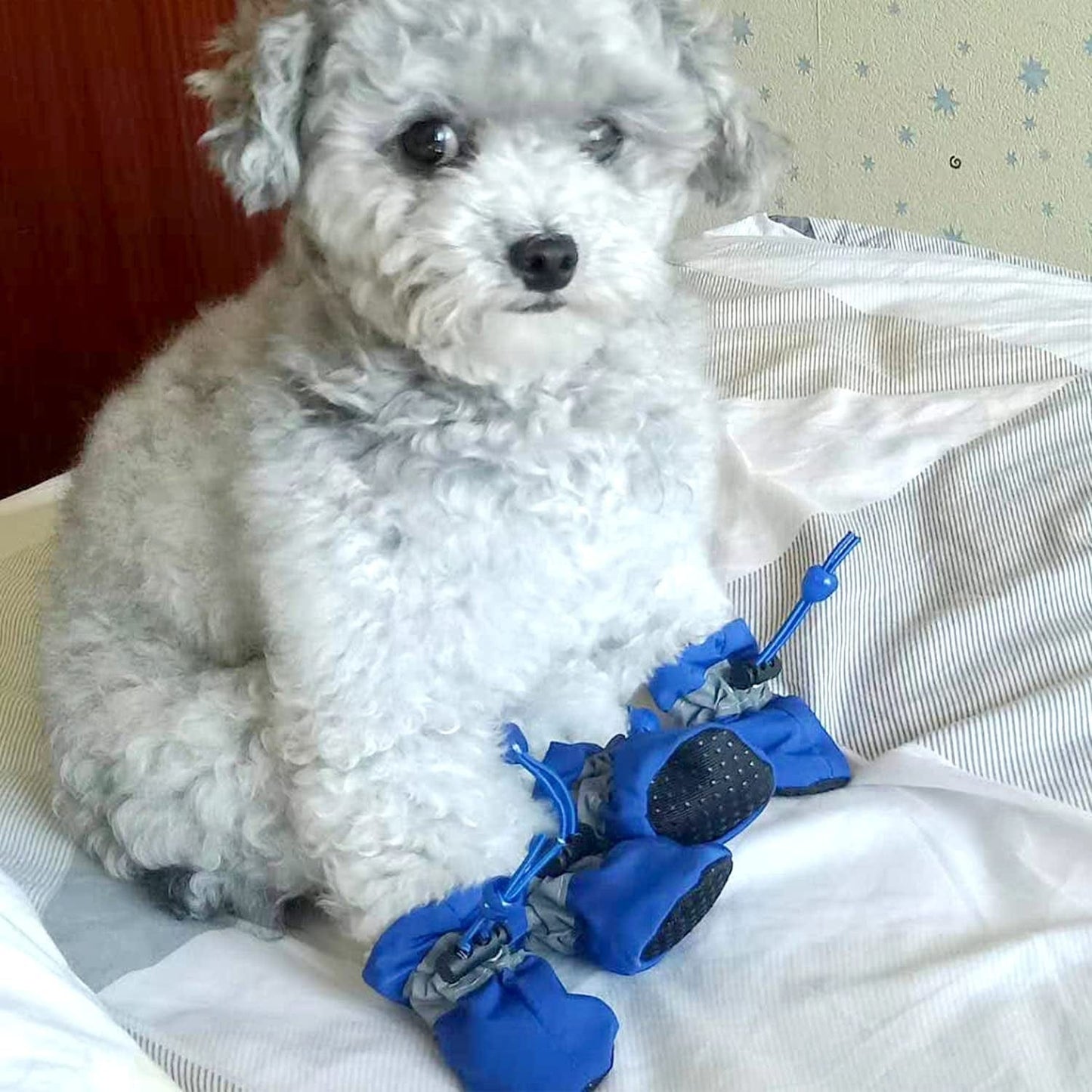 Dog Shoes Paw Protector - 4 Pcs Dogs Boots with Reflective Straps Anti-Slip Rubber Pet Booties Waterproof Winter Snow for Small Medium Size Dogs (Blue 3) Animals & Pet Supplies > Pet Supplies > Dog Supplies > Dog Apparel VITSOLE   