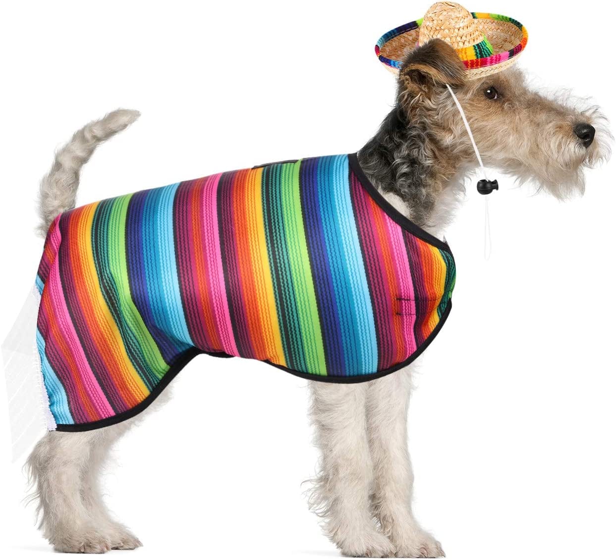 https://kol.pet/cdn/shop/products/dog-sombrero-hat-pet-serape-poncho-costume-multicolor-funny-dog-costume-adjustable-sombrero-costume-mexican-dog-poncho-straw-hat-chihuahua-clothes-for-mexican-party-decorations-m-4055_68b0ed6c-40ec-4e57-bc4d-8c7e47321e51_1946x.jpg?v=1675707134
