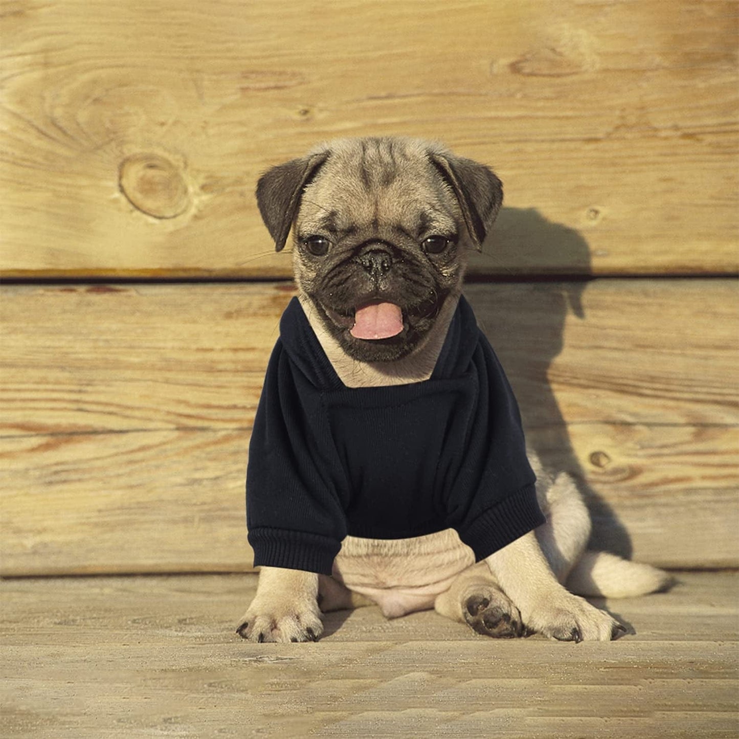 Pug best sale puppy outfits