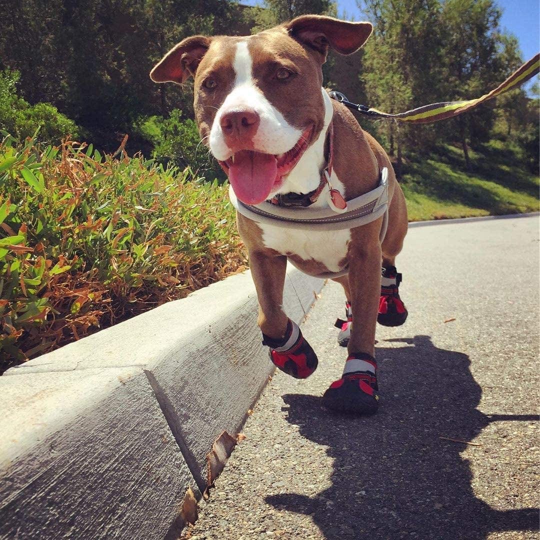 Dog Waterproof Boots, Dog Boots Paw Protector Breathable Dog Shoes Anti-Slip Dog Shoes with Reflective Straps Outdoor Winter Dog Booties for Medium Size and Large Dogs 4PCS Size 5: 2.7"X2.2"(Lw) Animals & Pet Supplies > Pet Supplies > Dog Supplies > Dog Apparel YILEGOU   