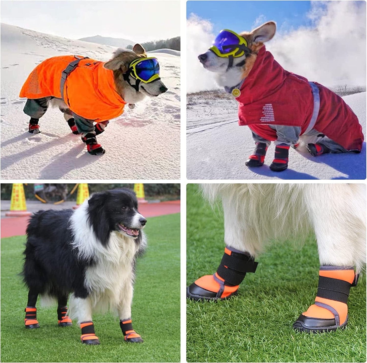 Dog Winter Boots Waterproof Anti-Slip Rain/Snow Outdoor Dog Shoes, Paw Protectors for Small Medium Large Dogs Walking Running Dog Booties 4PCS (Orange, Size 5: 2.4''X2.1'' (L*W)) Animals & Pet Supplies > Pet Supplies > Dog Supplies > Dog Apparel Dtxioxg   