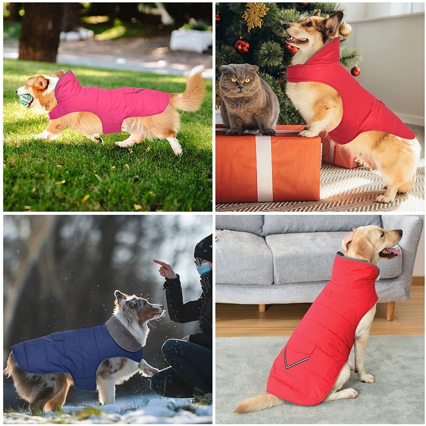 Dog Winter Coat, Dog Jacket with Pocket and Reflective Strip, Windproof Waterproof Dog Sweater, Puppy Clothes Warm Pet Winter Vest for Small Medium Extra Large Dogs Pet (Blue, XL) Animals & Pet Supplies > Pet Supplies > Dog Supplies > Dog Apparel Petglad   