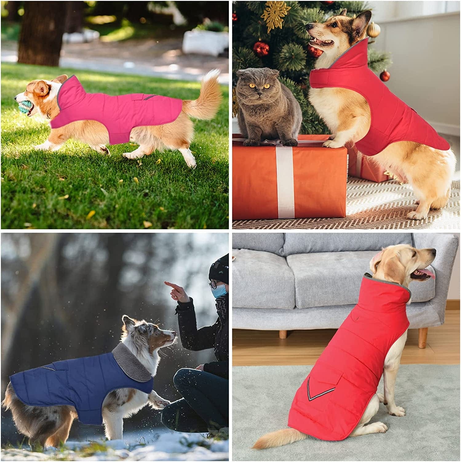 Dog Winter Coat, Dog Jacket with Pocket and Reflective Strip, Windproof Waterproof Dog Sweater, Puppy Clothes Warm Pet Winter Vest for Small Medium Extra Large Dogs Pet (Blue, XL) Animals & Pet Supplies > Pet Supplies > Dog Supplies > Dog Apparel Petglad   