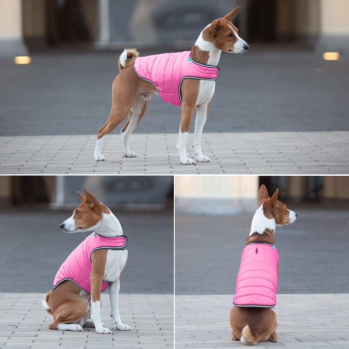 Dog Winter Coat for Small, Medium & Large Dogs - Waterproof Dog Warm Jacket for Cold Weather - Snow Dog Puffer Vest Boys & Girls - Adjustable Doggie Coat with Velcro - Winter Clothes All Breed - Pink Animals & Pet Supplies > Pet Supplies > Dog Supplies > Dog Apparel COLLAR COMPANY   