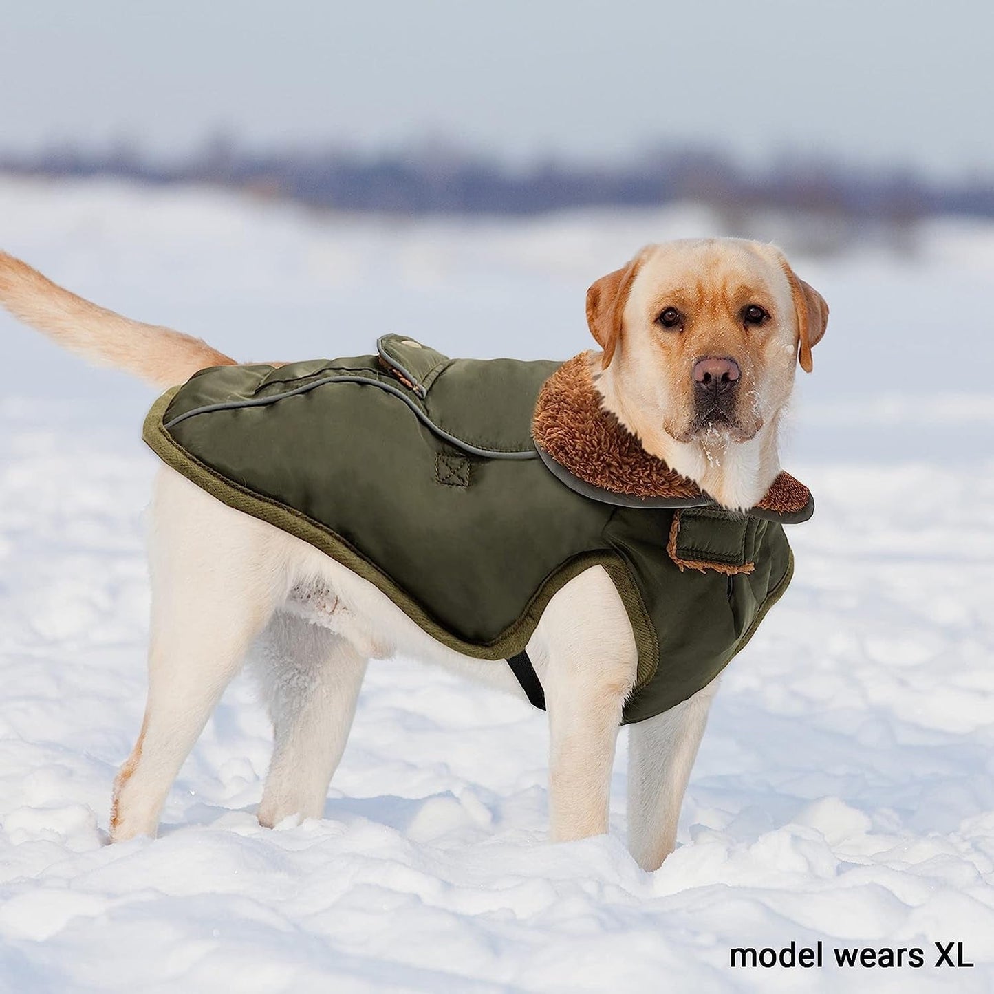 Dog Winter Coat - Warm Fleece Dog Clothes for Rain Snow Wind Cold Weather - Reflective Adjustable Cozy Waterproof Windproof Dog Vest Jacket with Leash Hole for Small Medium Large Dogs Indoor Outdoor Animals & Pet Supplies > Pet Supplies > Dog Supplies > Dog Apparel MOTZABO   