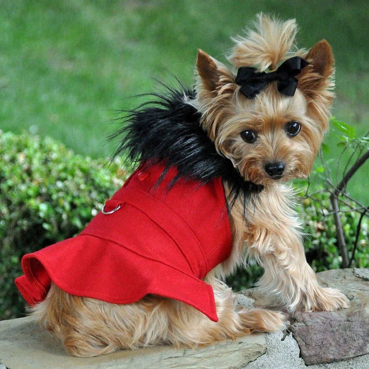 DOGGIE DESIGN Wool Fur Trimmed Dog Harness Coat with Leash (XS, Red) Animals & Pet Supplies > Pet Supplies > Dog Supplies > Dog Apparel Doggie Design Red XS 