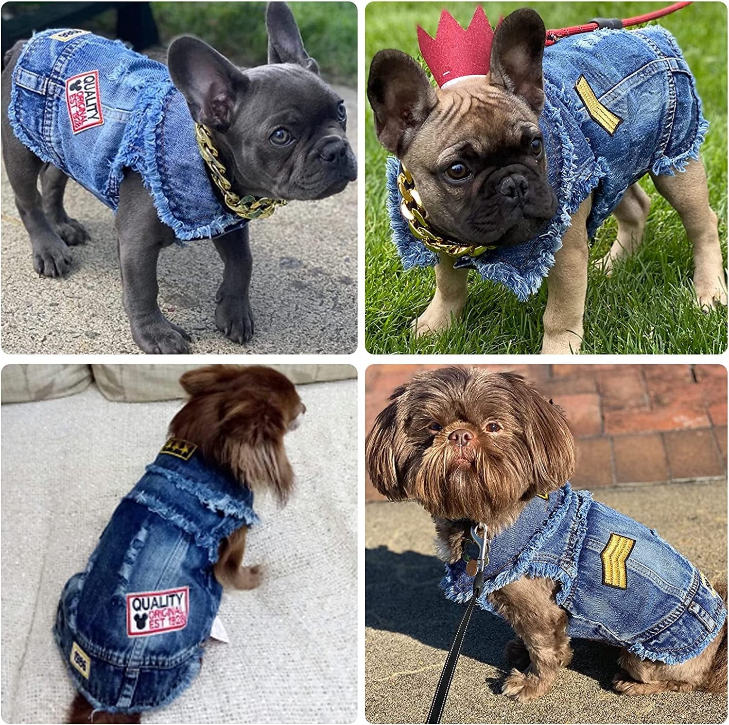 DOGGYZSTYLE Pet Vests Dog Denim Jacket Hoodies Puppy Jacket for Small Medium Dogs (XS, Blue Print) Animals & Pet Supplies > Pet Supplies > Dog Supplies > Dog Apparel YIWU KUCHONG E-commerce Firm   