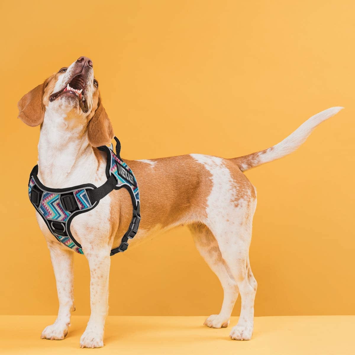 Dogline Quest No-Pull Dog Harness with Diabetic Alert Reflective Removable Patches Reflective Soft Comfortable Dog Vest with Quick Release Dual Buckles Black Hardware and Handle 18 to 22 in Aztec Animals & Pet Supplies > Pet Supplies > Dog Supplies > Dog Apparel Dogline   