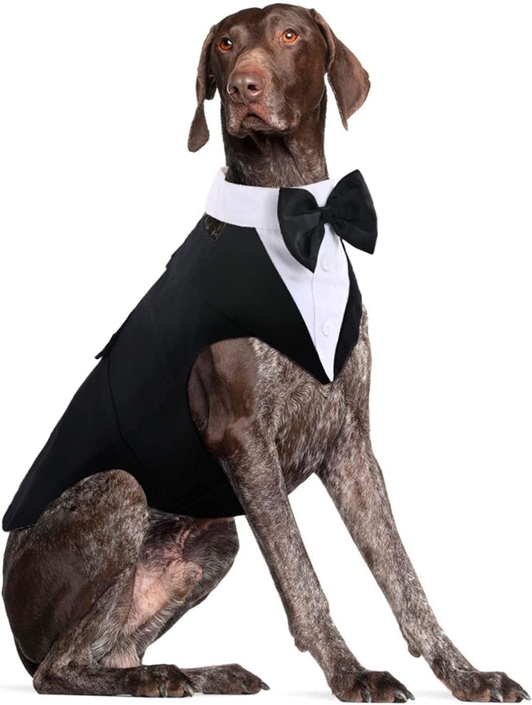 DORA BRIDAL Formal Dog Tuxedo for Medium Large Dogs, Labrador Pet Wedding Party Suit Outfit with Detachable Bowtie Collar Neckerchief Bandana, Dress-Up Halloween Costumes Handsome Elegant Cosplay Animals & Pet Supplies > Pet Supplies > Dog Supplies > Dog Apparel Dora Bridal Black XL=Chest Girth: 25.59''-31.49''; Length: 20.07'' 