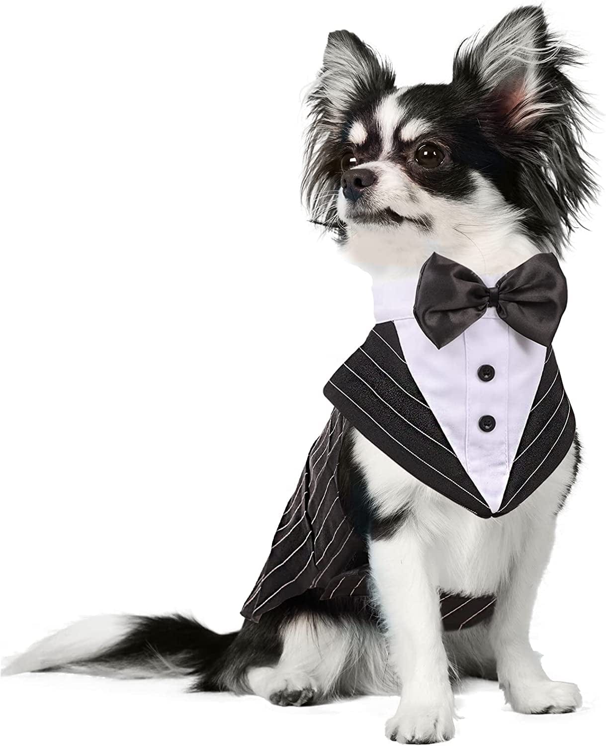 DORA BRIDAL Formal Dog Tuxedo for Medium Large Dogs, Labrador Pet Wedding Party Suit Outfit with Detachable Bowtie Collar Neckerchief Bandana, Dress-Up Halloween Costumes Handsome Elegant Cosplay Animals & Pet Supplies > Pet Supplies > Dog Supplies > Dog Apparel Dora Bridal Striped Black S=Chest Girth: 12.59''-16.53''; Length: 11.41'' 