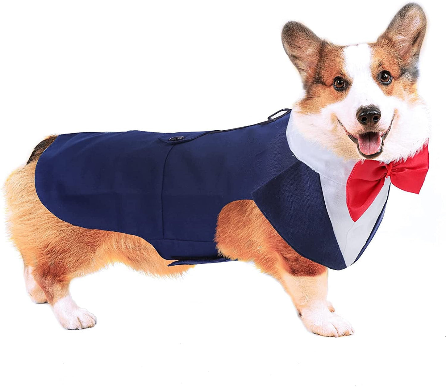 DORA BRIDAL Formal Dog Tuxedo for Medium Large Dogs, Labrador Pet Wedding Party Suit Outfit with Detachable Bowtie Collar Neckerchief Bandana, Dress-Up Halloween Costumes Handsome Elegant Cosplay Animals & Pet Supplies > Pet Supplies > Dog Supplies > Dog Apparel Dora Bridal Blue M=Chest Girth: 16.53''-20.86''; Length: 13.77'' 