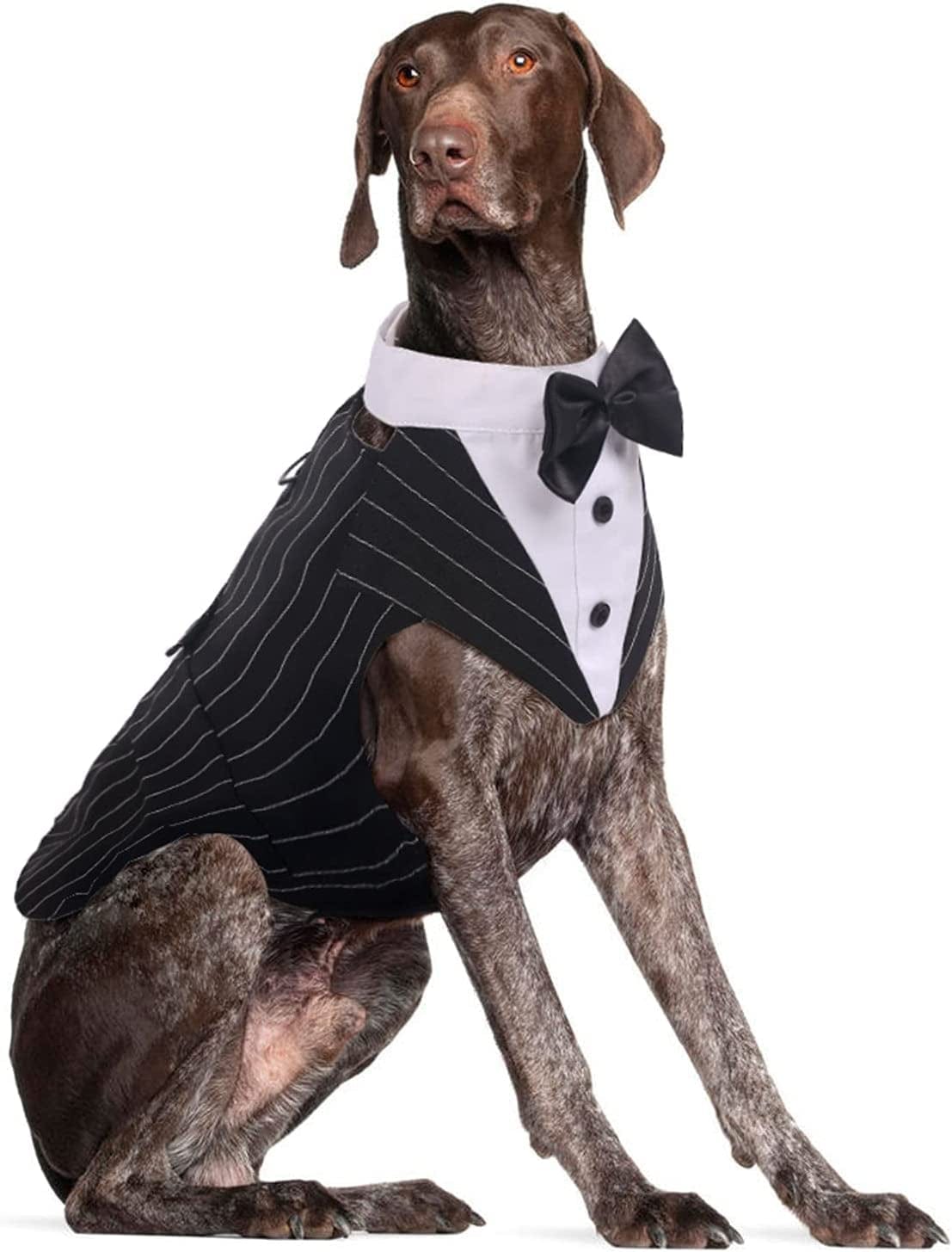 DORA BRIDAL Formal Dog Tuxedo for Medium Large Dogs, Labrador Pet Wedding Party Suit Outfit with Detachable Bowtie Collar Neckerchief Bandana, Dress-Up Halloween Costumes Handsome Elegant Cosplay Animals & Pet Supplies > Pet Supplies > Dog Supplies > Dog Apparel Dora Bridal Striped Black L=Chest Girth: 20.86''-25.59''; Length: 16.53'' 