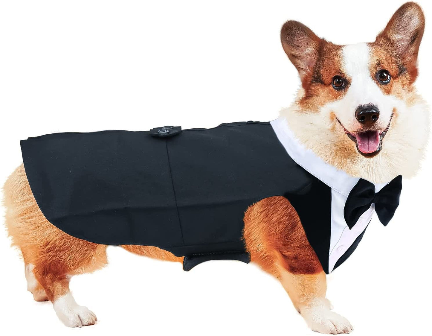 DORA BRIDAL Formal Dog Tuxedo for Medium Large Dogs, Labrador Pet Wedding Party Suit Outfit with Detachable Bowtie Collar Neckerchief Bandana, Dress-Up Halloween Costumes Handsome Elegant Cosplay Animals & Pet Supplies > Pet Supplies > Dog Supplies > Dog Apparel Dora Bridal Black M=Chest Girth: 16.53''-20.86''; Length: 13.77'' 