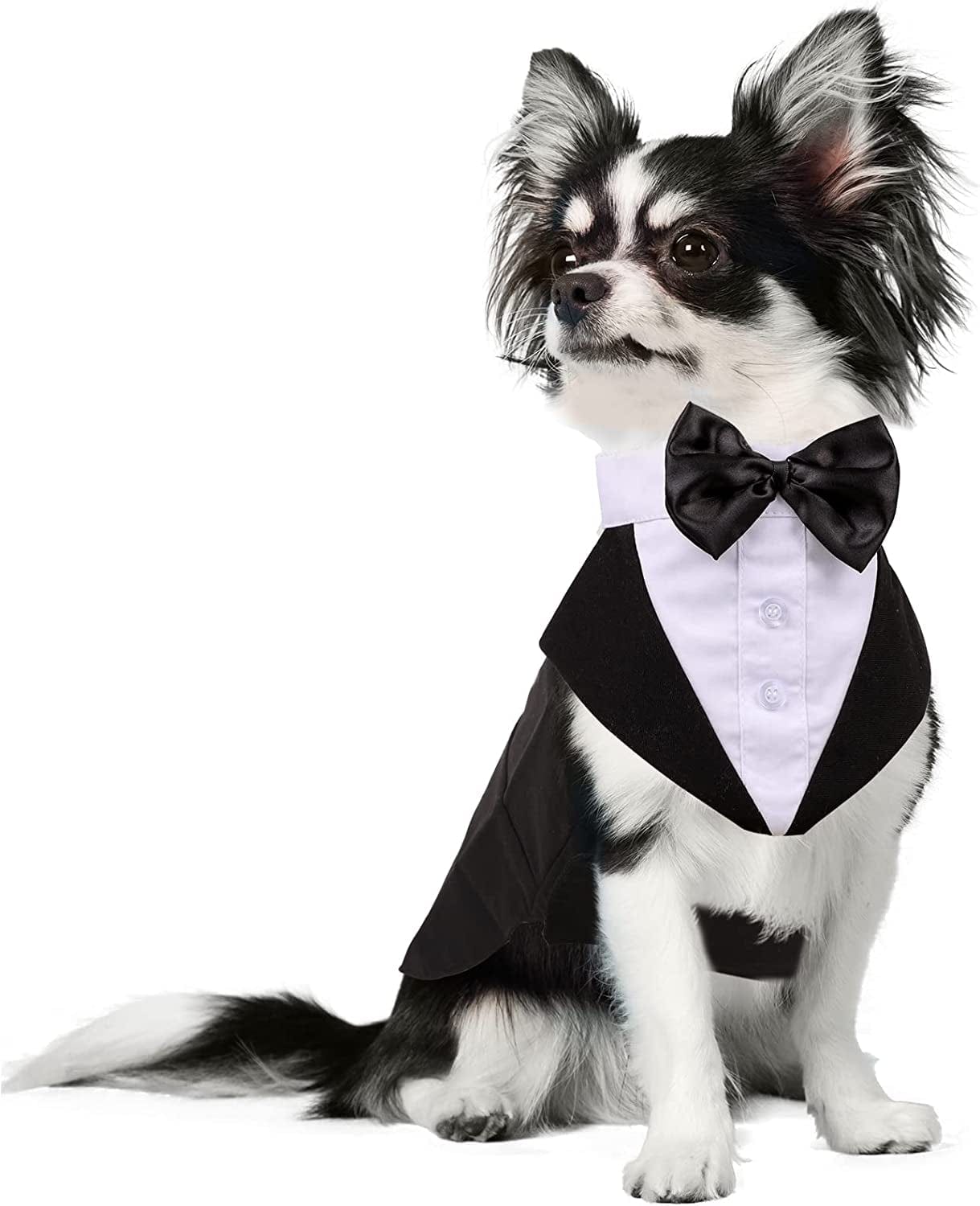 DORA BRIDAL Formal Dog Tuxedo for Medium Large Dogs, Labrador Pet Wedding Party Suit Outfit with Detachable Bowtie Collar Neckerchief Bandana, Dress-Up Halloween Costumes Handsome Elegant Cosplay Animals & Pet Supplies > Pet Supplies > Dog Supplies > Dog Apparel Dora Bridal Black S=Chest Girth: 12.59''-16.53''; Length: 11.41'' 