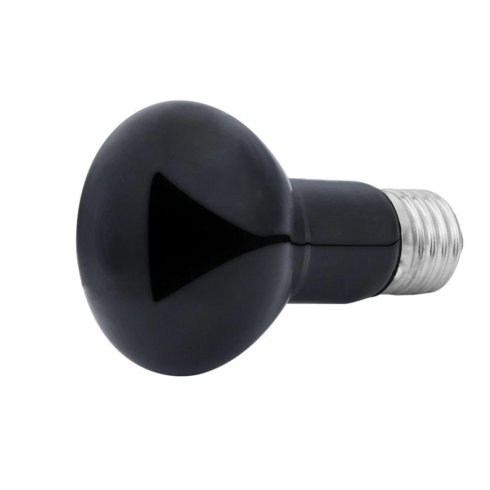 Dpityserensio 50W Uva Day Night Amphibian Snake Lamp Heat Reptile Bulb Light 220V on Clearance Multicolor One Size Animals & Pet Supplies > Pet Supplies > Reptile & Amphibian Supplies > Reptile & Amphibian Habitat Heating & Lighting Dpityserensio   