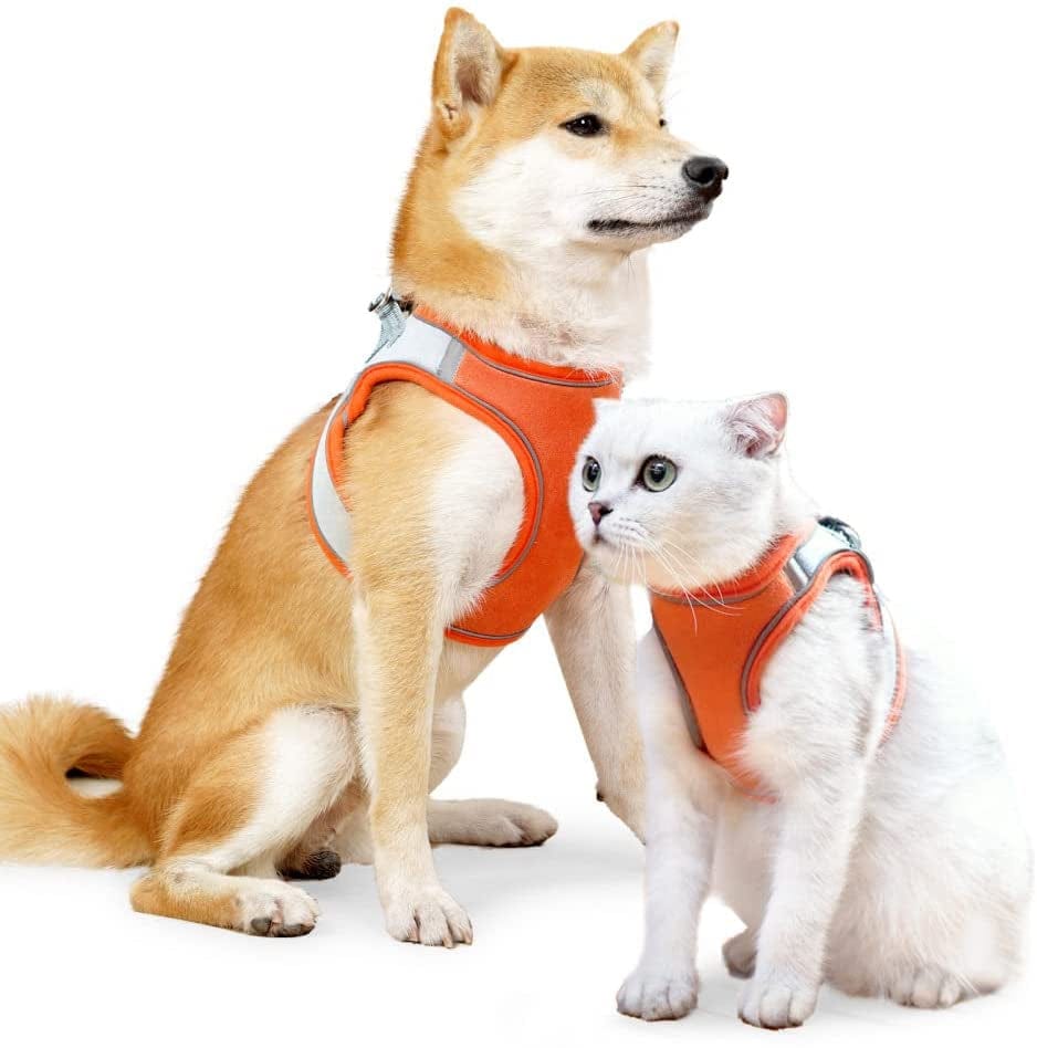 Dsstyles Dog Harness, Cat Harness,Adjustable Soft Padded Dog Vest,With Reflective Tape,Complimentary Traction Rope，Suitable for Pet Kitten Puppy Rabbit,Red Blue, Orange Blue Animals & Pet Supplies > Pet Supplies > Dog Supplies > Dog Apparel DSstyles Orange and blue contrast color L  