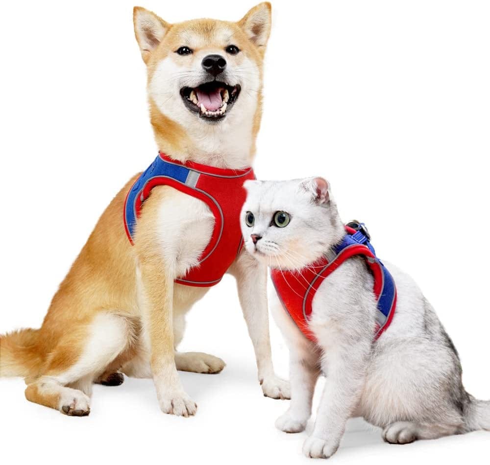 Dsstyles Dog Harness, Cat Harness,Adjustable Soft Padded Dog Vest,With Reflective Tape,Complimentary Traction Rope，Suitable for Pet Kitten Puppy Rabbit,Red Blue, Orange Blue Animals & Pet Supplies > Pet Supplies > Dog Supplies > Dog Apparel DSstyles Red and blue contrast color L  
