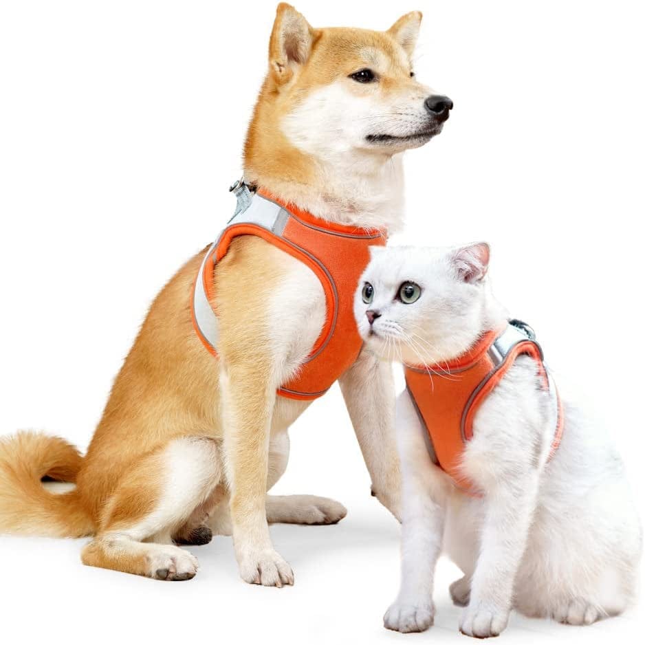 Dsstyles Dog Harness, Cat Harness,Adjustable Soft Padded Dog Vest,With Reflective Tape,Complimentary Traction Rope，Suitable for Pet Kitten Puppy Rabbit,Red Blue, Orange Blue