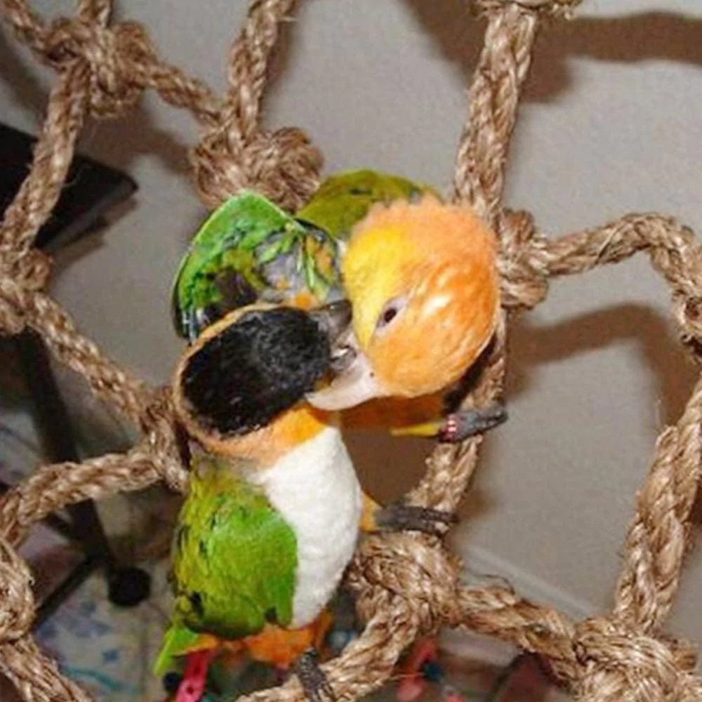 Duety Parrot Bird Climbing Net Hemp Rope Ladder Toy Play Gym Hanging Swing Net Parrot Perch Hammock Toy with Hooks Bird Cage Toy for Budgies Macaw Cockatoo Parakeet Hamster Ferret Animals & Pet Supplies > Pet Supplies > Bird Supplies > Bird Ladders & Perches Duety   