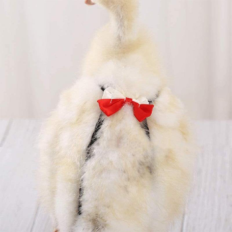 TONKBEEY Chicken Diapers Washable Duck Nappies with Bow Tie Decor Elastic Should Straps Animals & Pet Supplies > Pet Supplies > Dog Supplies > Dog Diaper Pads & Liners TONKBEEY   