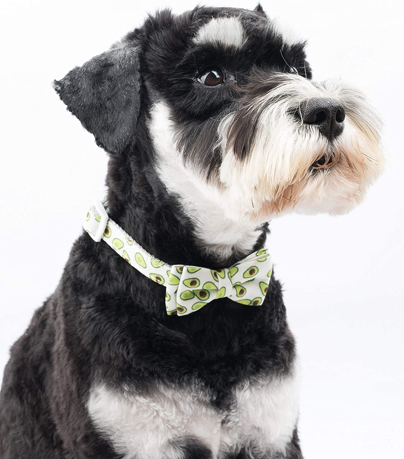 Gyapet Dog Collar with Bow Tie Snap Puppy Boy & Girl Adjustable Cute Pattern Small Medium Large Pet Green Avocado S Animals & Pet Supplies > Pet Supplies > Dog Supplies > Dog Apparel Gyapet   